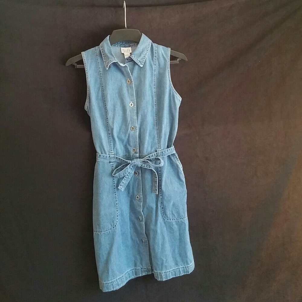 Ann Taylor Loft dress